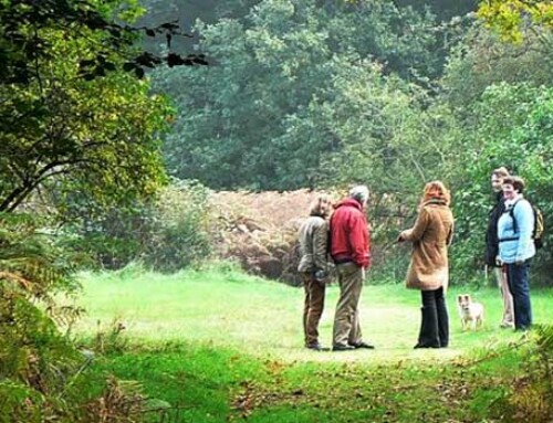 Resultaten onderzoek naar effect wandelcoaching